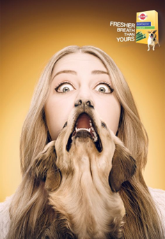 Pedigree advert that merges woman's face with dog's mouth [dog breath].  An example of context and intent in alt text.
